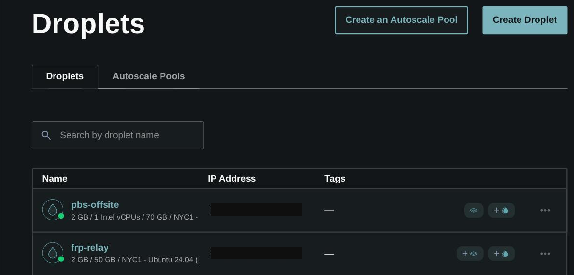 DigitalOcean Droplets list showing two small droplets, IP addresses redacted